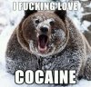 i-fucking-love-cocaine.jpg